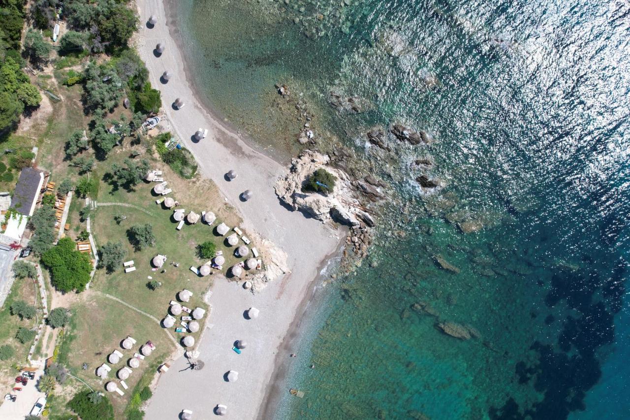 Kechria Bay Villas Skiathos by Eksteriør billede